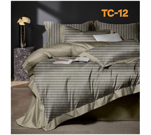 Bộ Drap mền Tencel 60s TC-12